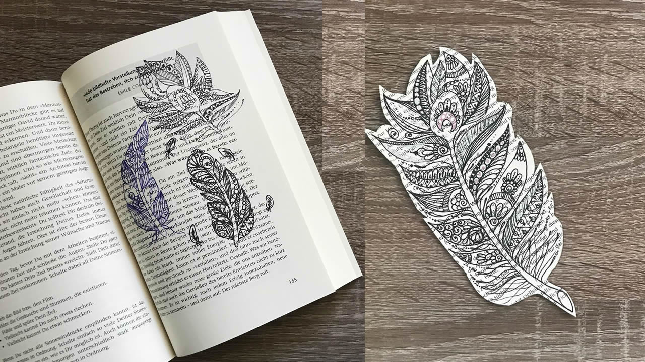 Online Kurs ZenFeder