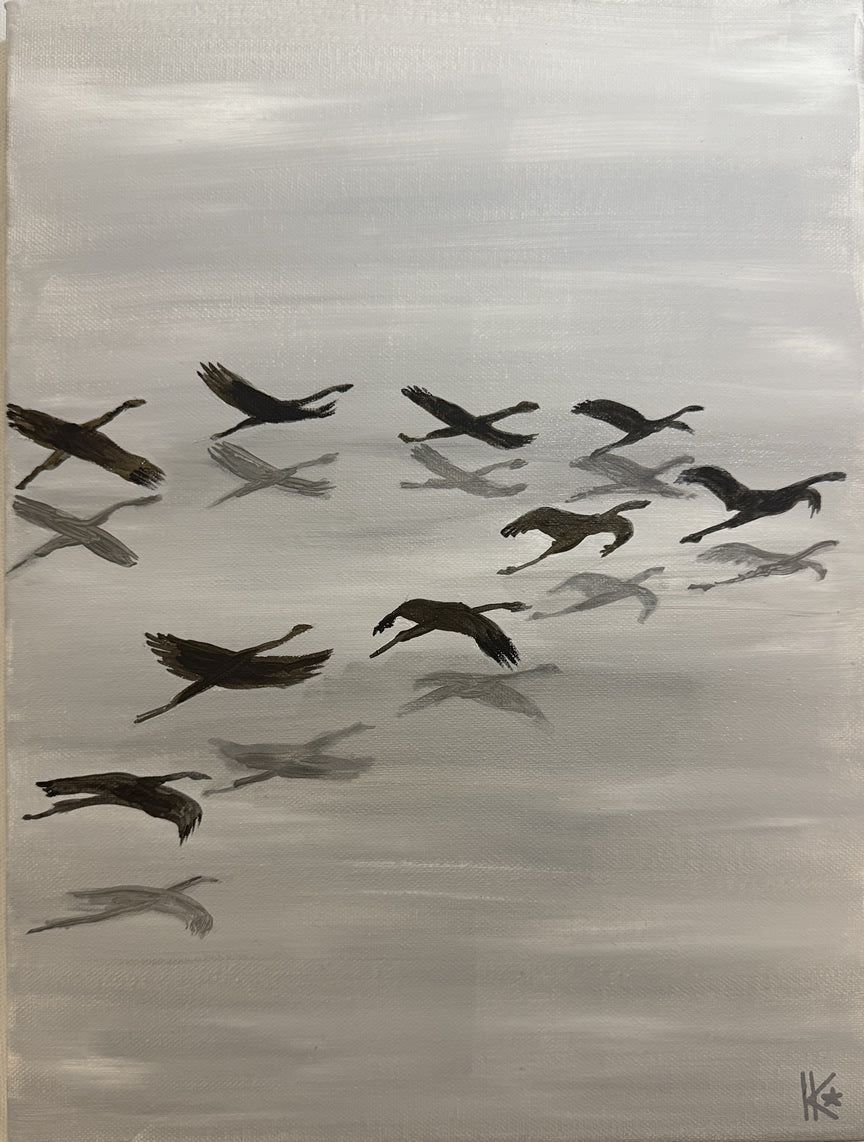 Kraniche – Tanz über den Wolken Online Workshop